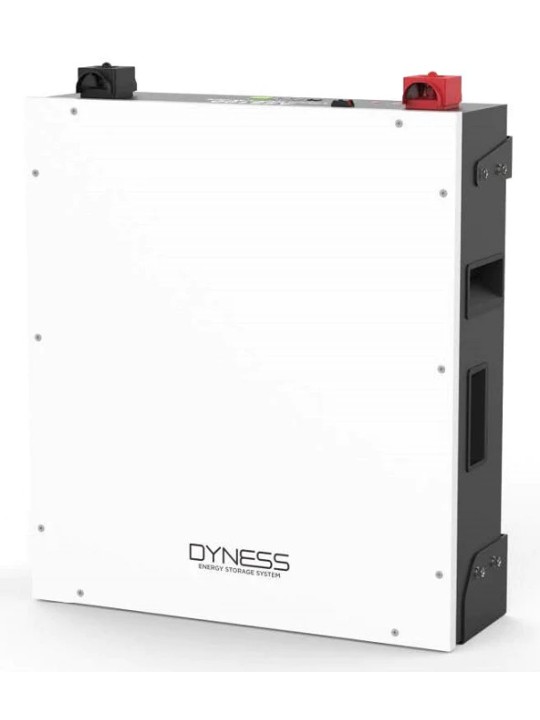 Dyness 4.8KWH Battery A48100