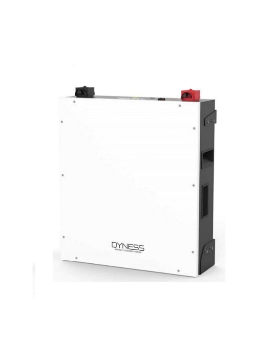 Dyness 51.2V 5.12kWh Lithium Battery BX51100